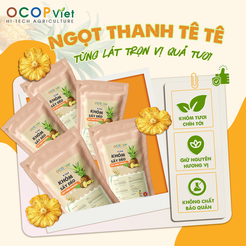  Thơm sấy dẻo - OCOP Việt – Ngon Rẻ Giá HờI – Không Chất Bảo Quản – Túi 100g 