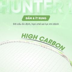 Vợt cầu lông Apavi Hunter 1