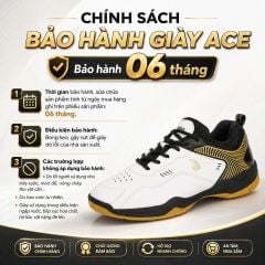 Giày Cầu Lông APAVI ACE – Carbon + TPU
