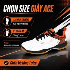 Giày Cầu Lông APAVI ACE – Carbon + TPU