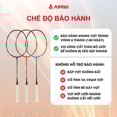 Vợt cầu lông Apavi Flame F110