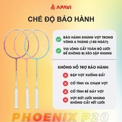 Vợt cầu lông Apavi Phoenix P20