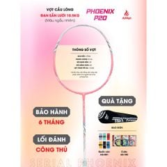 Vợt cầu lông Apavi Phoenix P20