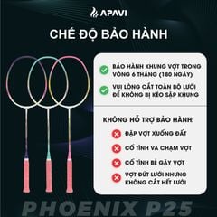 Vợt cầu lông Apavi Phoenix P25