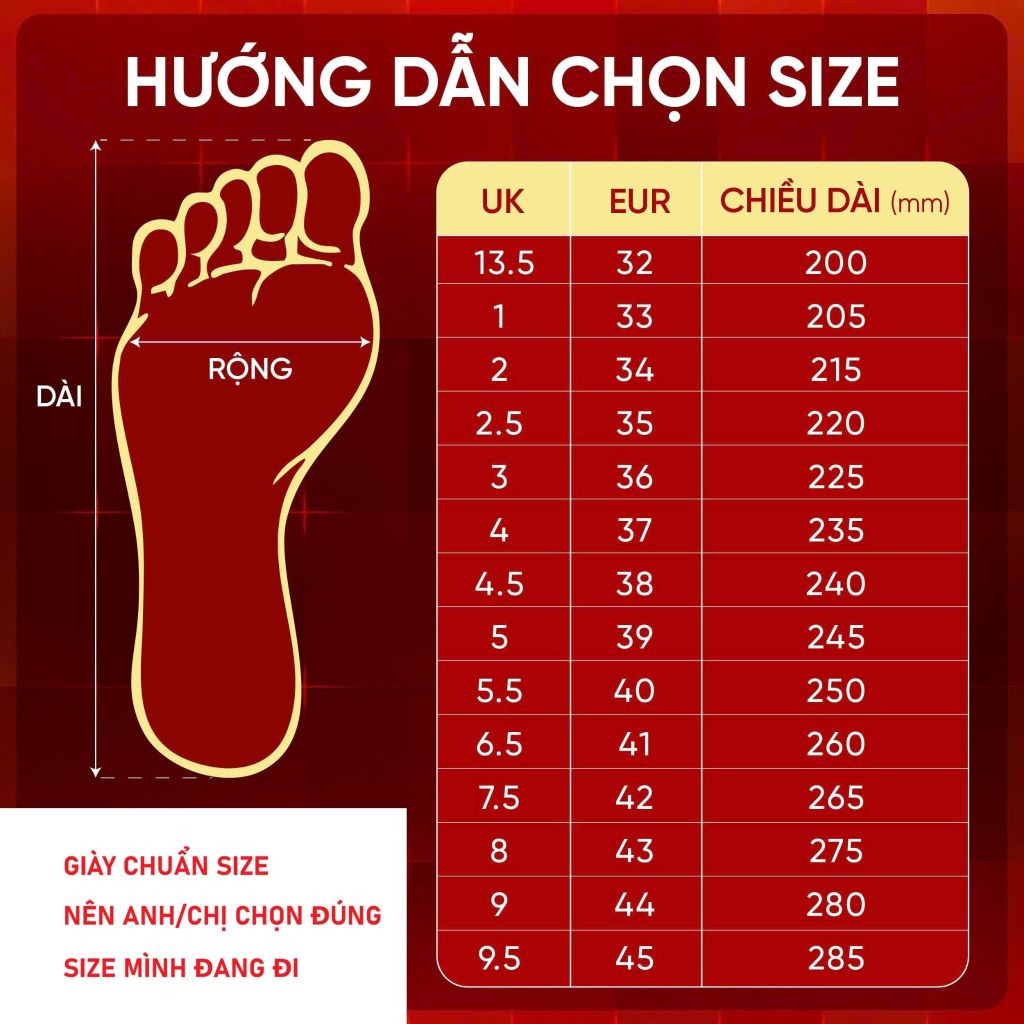 Giày cầu lông Apavi ACE