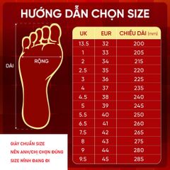 Giày cầu lông Apavi ACE