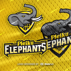 Mẫu Thiết kế Đồng phục CLB Pleiku ELEPHANTS