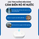  Cảm Biến Rò Rỉ Nước TP-Link Tapo T300 – Phát Hiện Đa Hướng, Báo Động 90dB, IP67 