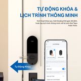  Chuông Cửa Thông Minh | Tapo DL110 | 10.000mAh 