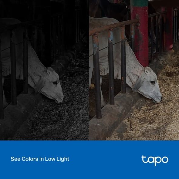  Camera Ngoài Trời Tapo C320WS | 2K 