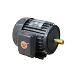  Motor Vỏ Gang 4Hp 1Pha Hồng Ký Pcl-H314 (5120011) 