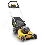  Máy Cắt Cỏ Đẩy Tay Dùng 2 Pin 20V Dewalt DCMW564N (chưa Pin & Sạc) 