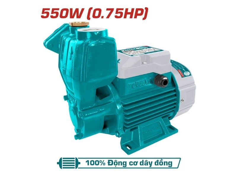  550W Máy bơm nước Total TWP105506 