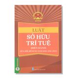 LUẬT SỞ HỮU TRÍ TUỆ (Hiện hành) (Sửa đổi, bổ sung năm 2009, 2019, 2022)