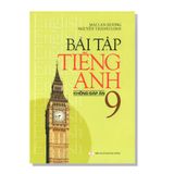 Bài tập TIẾNG ANH 9 không đáp án