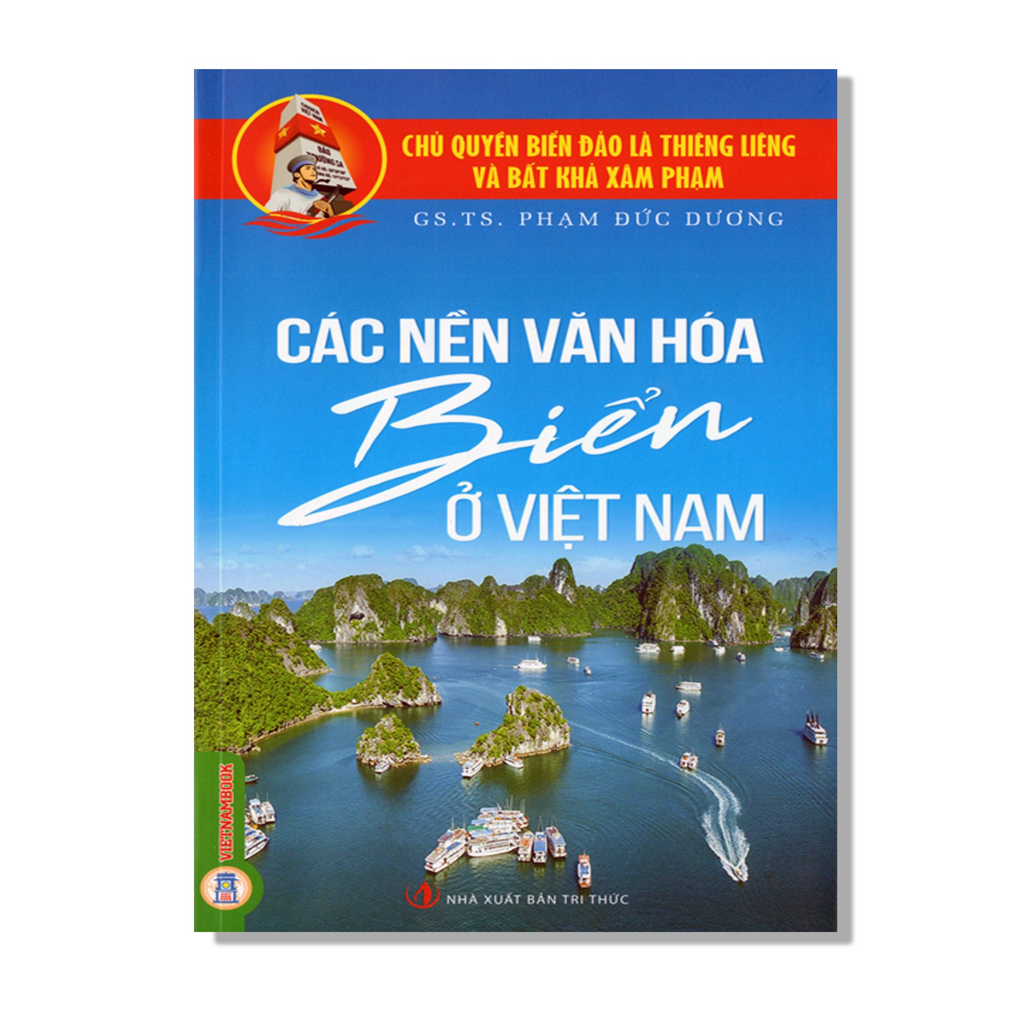 Các Nền Văn Hoá Biển Ở Việt Nam