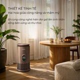  Máy lọc không khí tạo ẩm Paveden Breeze – Walnut Brown 