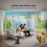  Máy lọc không khí tạo ẩm Paveden Breeze – Walnut Brown 