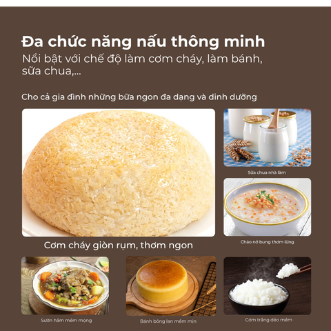  Nồi cơm điện tách đường Paveden Retro 1.2L 