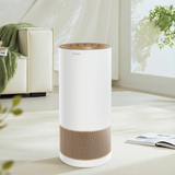  Máy lọc không khí Paveden PAP-33HEPA 