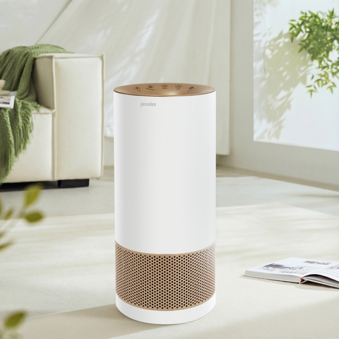  Máy lọc không khí Paveden PAP-33HEPA 