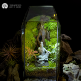 Terrarium Echoes of Zen - Bể Đa Giác - Tiếng Vọng Của Thiền