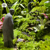 Terrarium Breath of Peace - Bể Đa Giác - Hơi Thở Bình An