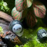 Terrarium Forest Whisper - Bể Đa Giác - Lời Thì Thầm Trong Rừng