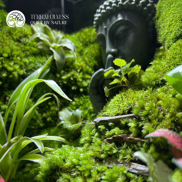 Terrarium Forest Guardian cao cấp dành cho quà tặng doanh nghiệp, bố cục rừng sâu với rêu – lũa – chiến binh, sản phẩm Terrafulness phân khúc 1–3 triệu