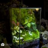 Terrarium
