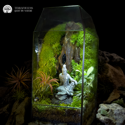 Terrarium Echoes of Zen - Bể Đa Giác - Tiếng Vọng Của Thiền