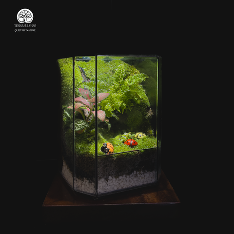 Terrarium