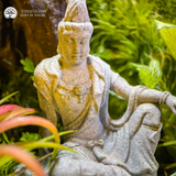 Terrarium Echoes of Zen - Bể Đa Giác - Tiếng Vọng Của Thiền