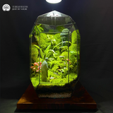 Terrarium Breath of Peace - Bể Đa Giác - Hơi Thở Bình An