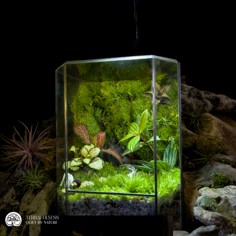 Terrarium
