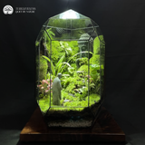 Terrarium Breath of Peace - Bể Đa Giác - Hơi Thở Bình An