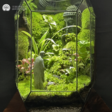 Terrarium Breath of Peace - Bể Đa Giác - Hơi Thở Bình An