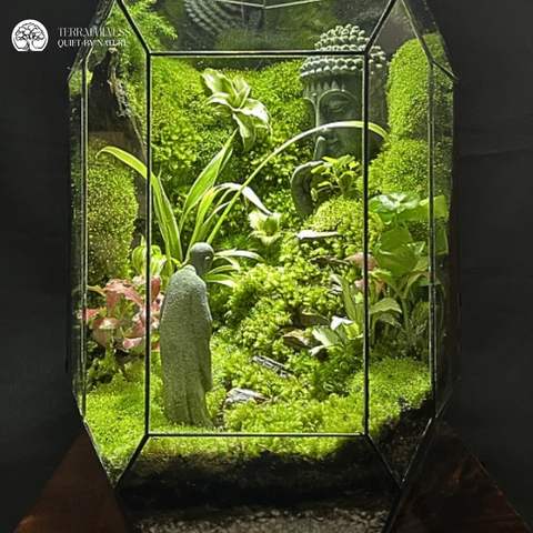Terrarium Breath of Peace - Bể Đa Giác - Hơi Thở Bình An