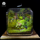 Terrarium