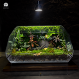Terrarium