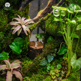 Terrarium