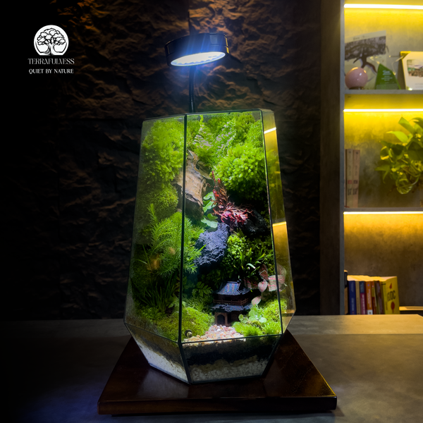 Terrarium Forest Guardian cao cấp dành cho quà tặng doanh nghiệp, bố cục rừng sâu với rêu – lũa – chiến binh, sản phẩm Terrafulness phân khúc 1–3 triệu