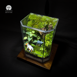 Terrarium