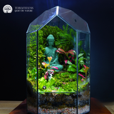 Terrarium