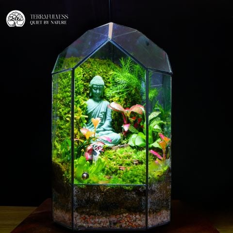 Terrarium Mộc Thiền - Bể Đa Giác - Trang Trí Và Để Bàn
