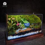 Terrarium Little House | Bể Hộp Chữ Nhật - Decor Bàn Làm Việc Tinh Tế