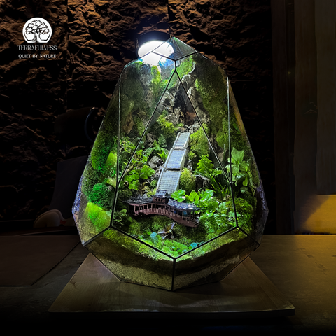 Terrarium Sơn Môn - Bể Đa Giác - Nghệ Thuật Giữa Rừng Xanh
