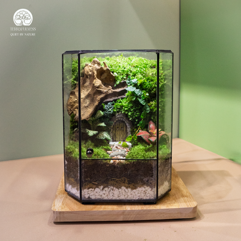 Terrarium Fairy Door - Bể Đa Giác - Decor Góc Học Tập Cổ Tích