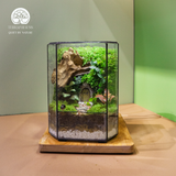 Terrarium