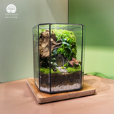 Terrarium
